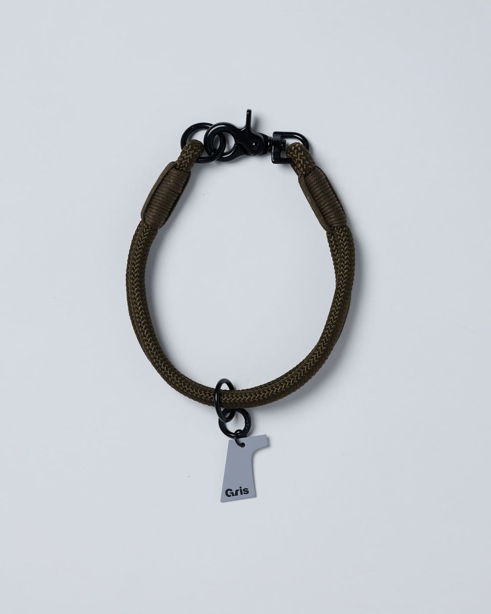 THE COLLAR WEIMARANER GREY | ザ・カラーワイマラナーグレー
