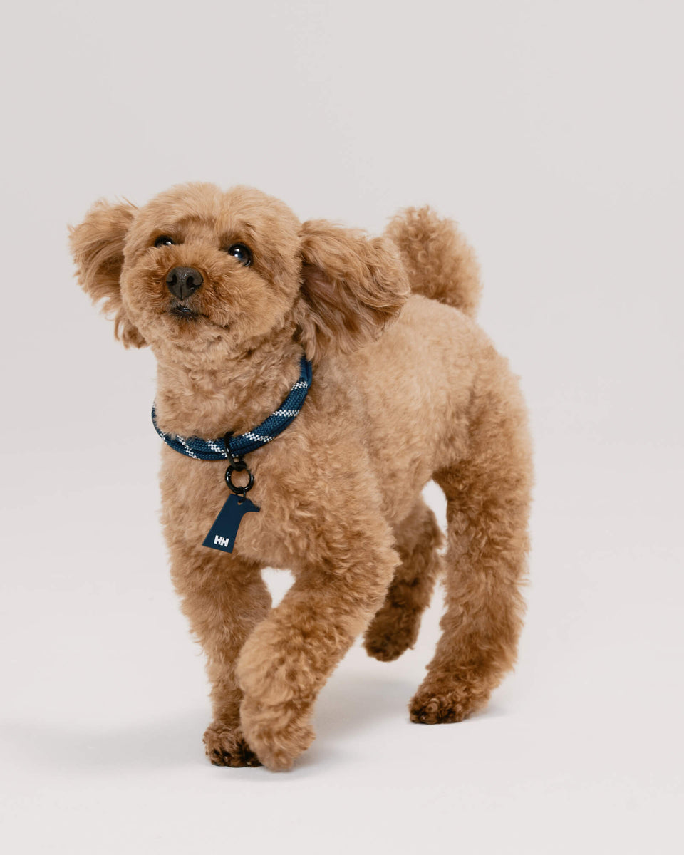 HH×Gris COLLAR OCEAN NAVY| カラーオーシャンネイビー | muraco